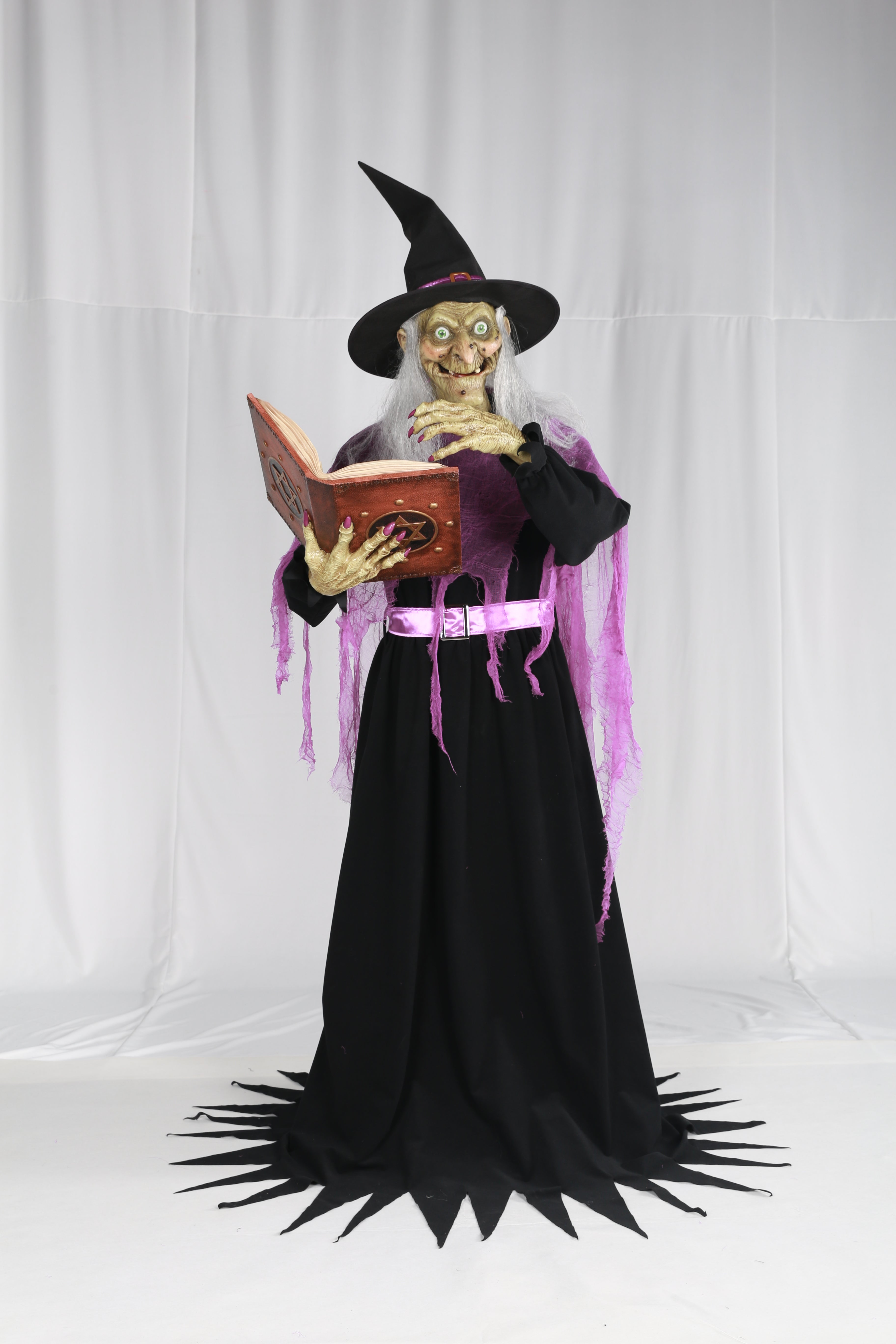 Animatronic Witch