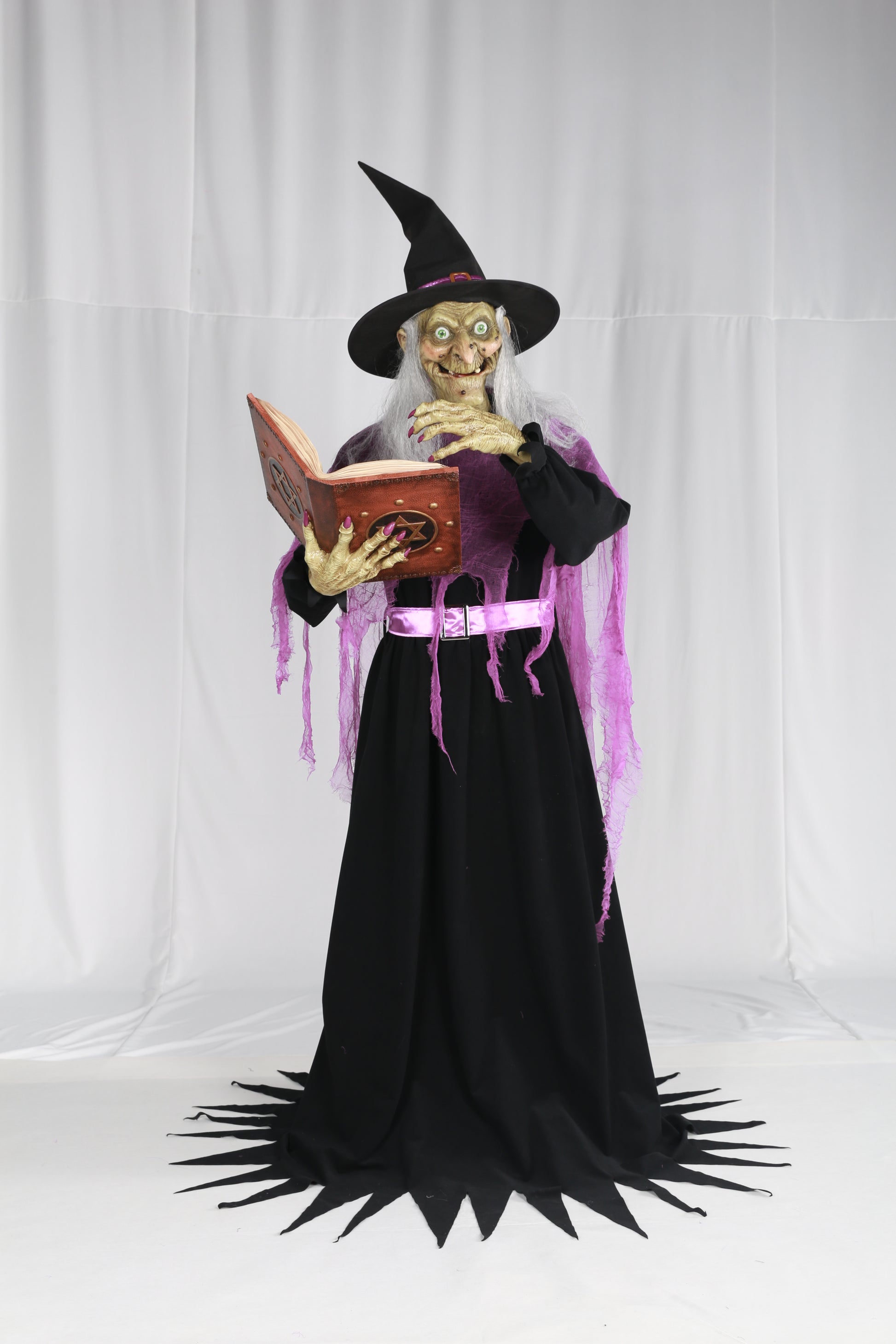 Animatronic Witch