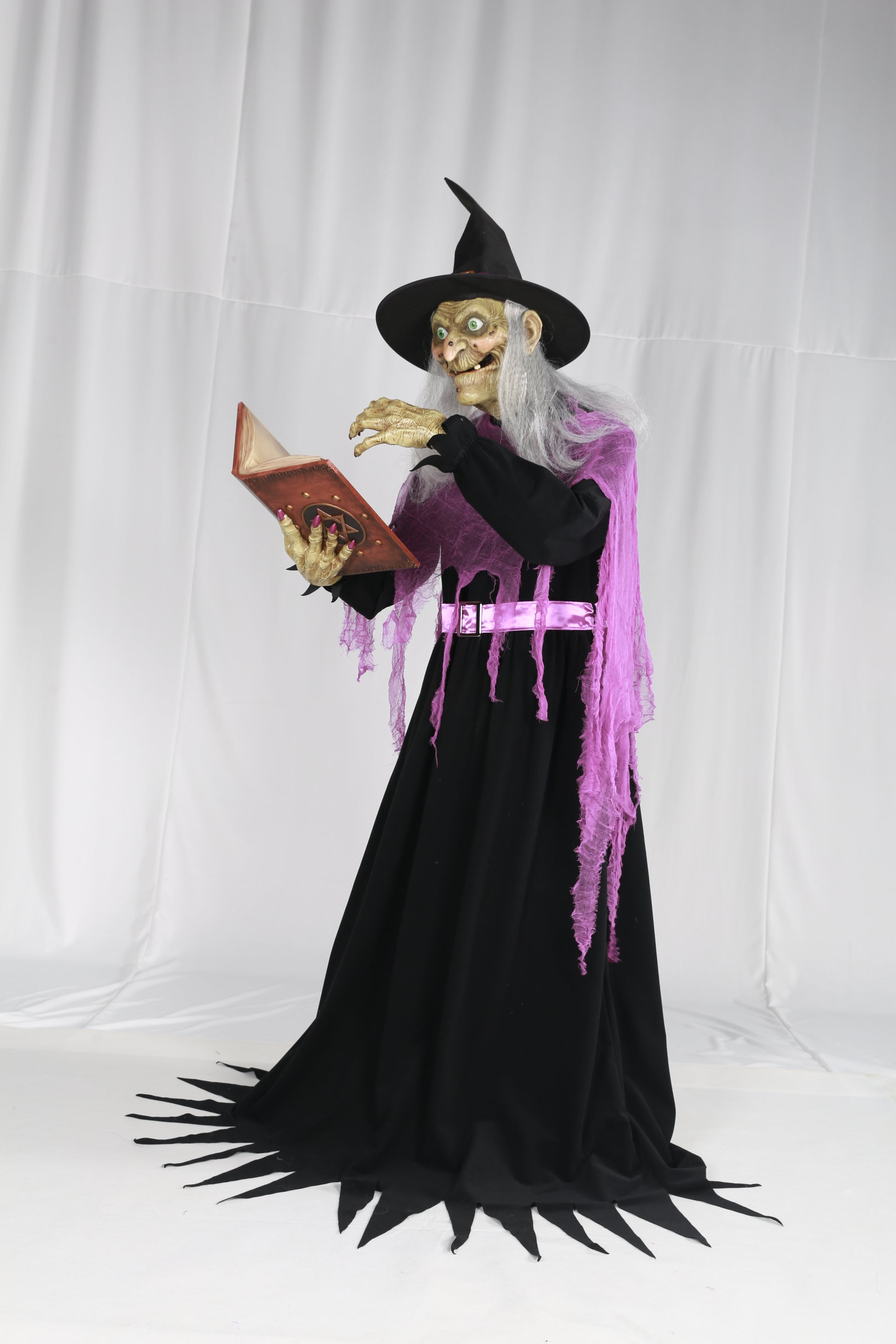 Animatronic Witch