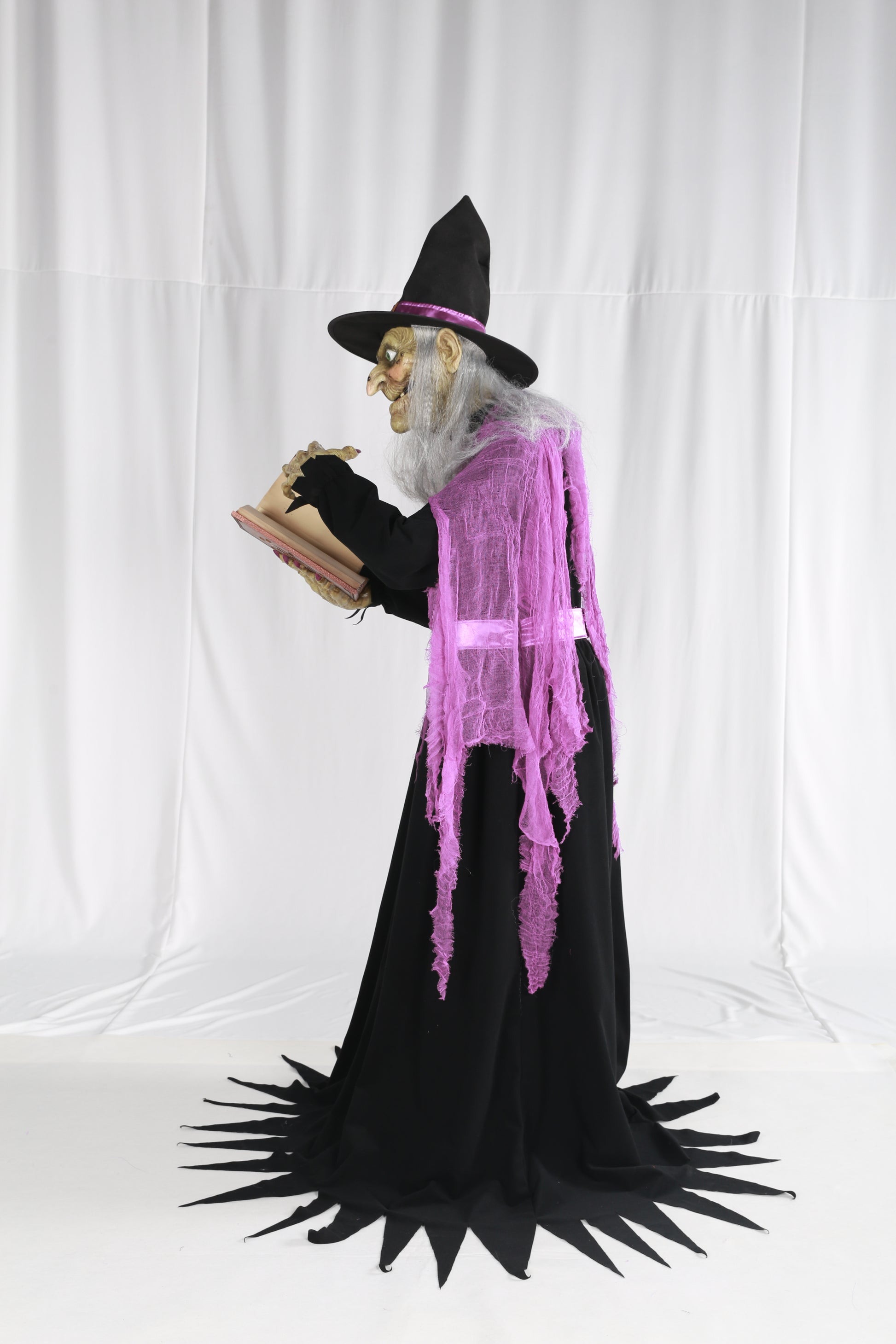 Animatronic Witch