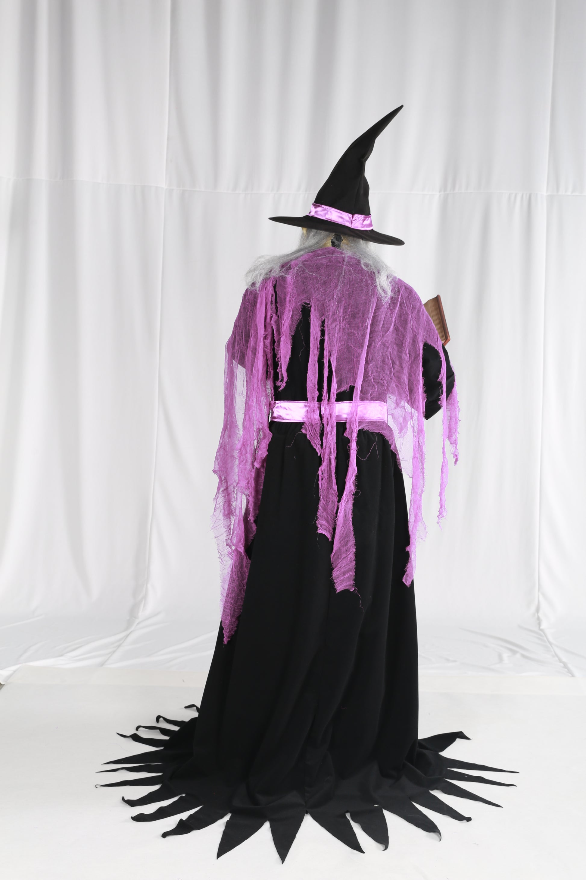 Animatronic Witch
