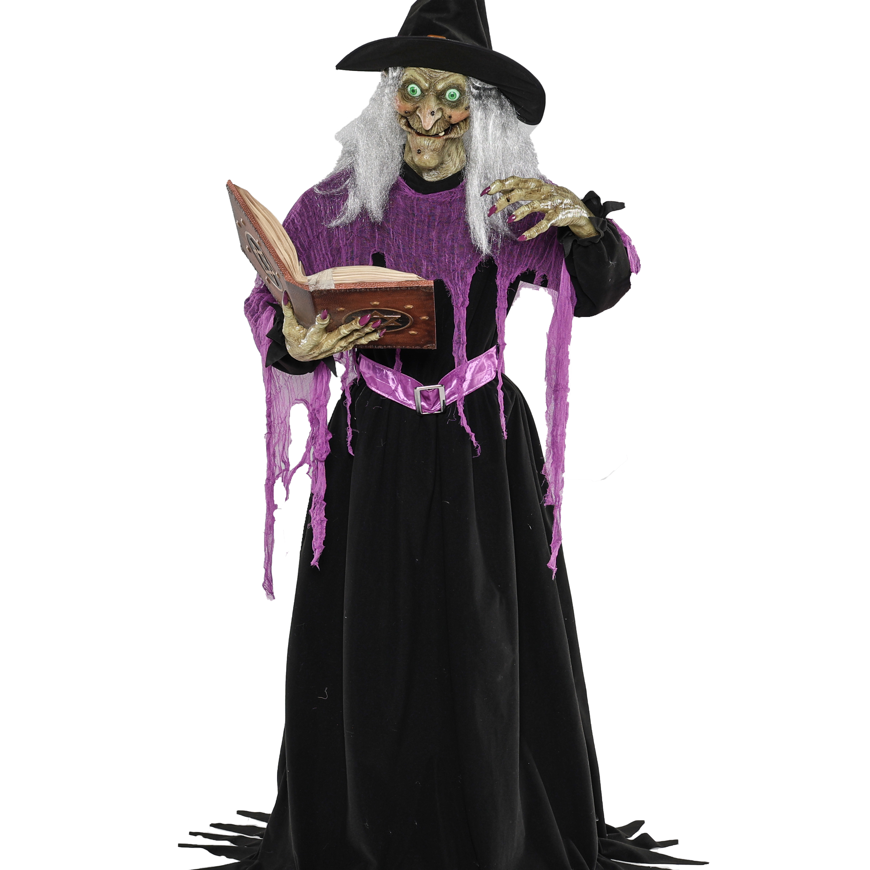 Animatronic Witch