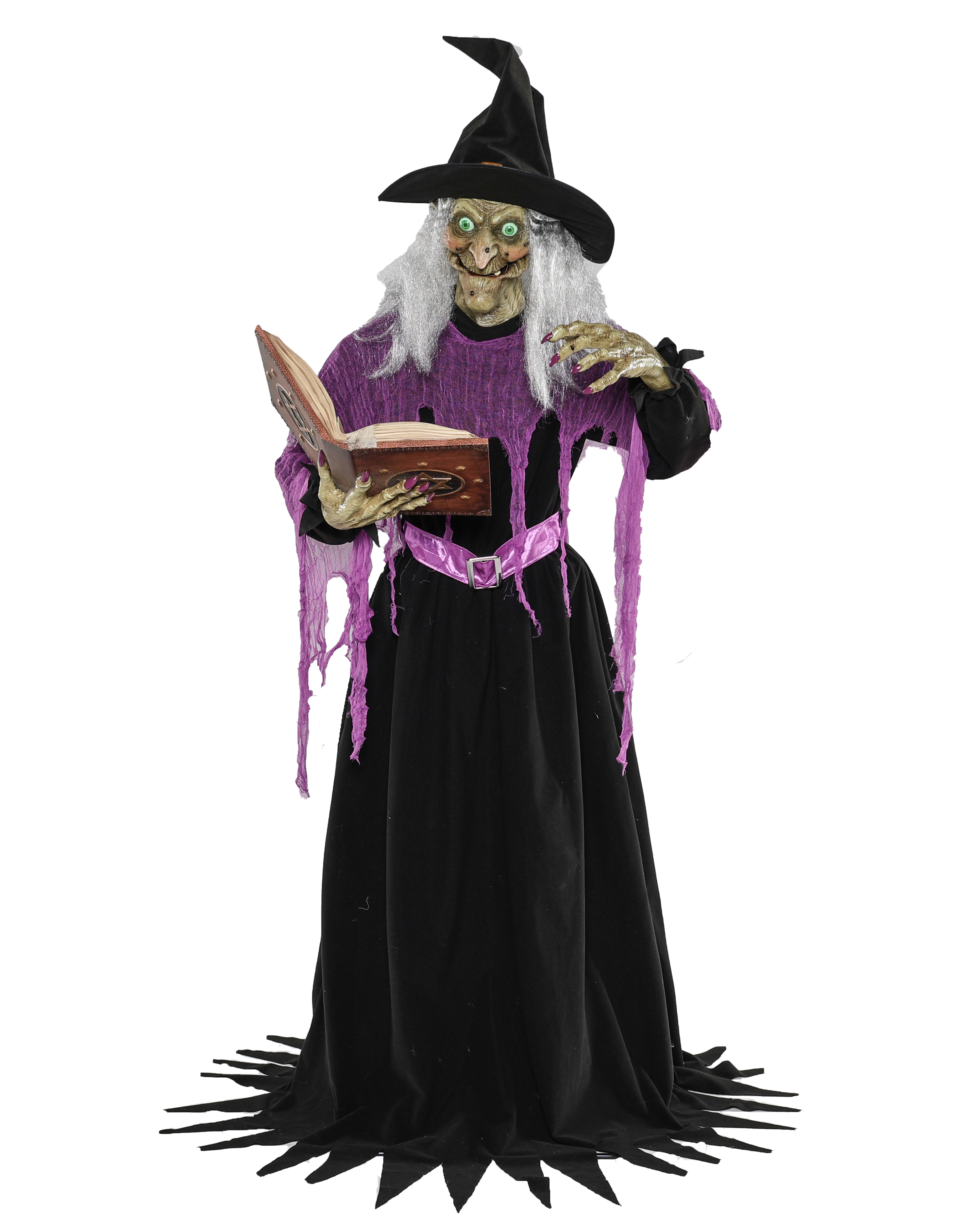 Animatronic Witch