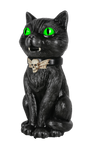 Animated Black Cat