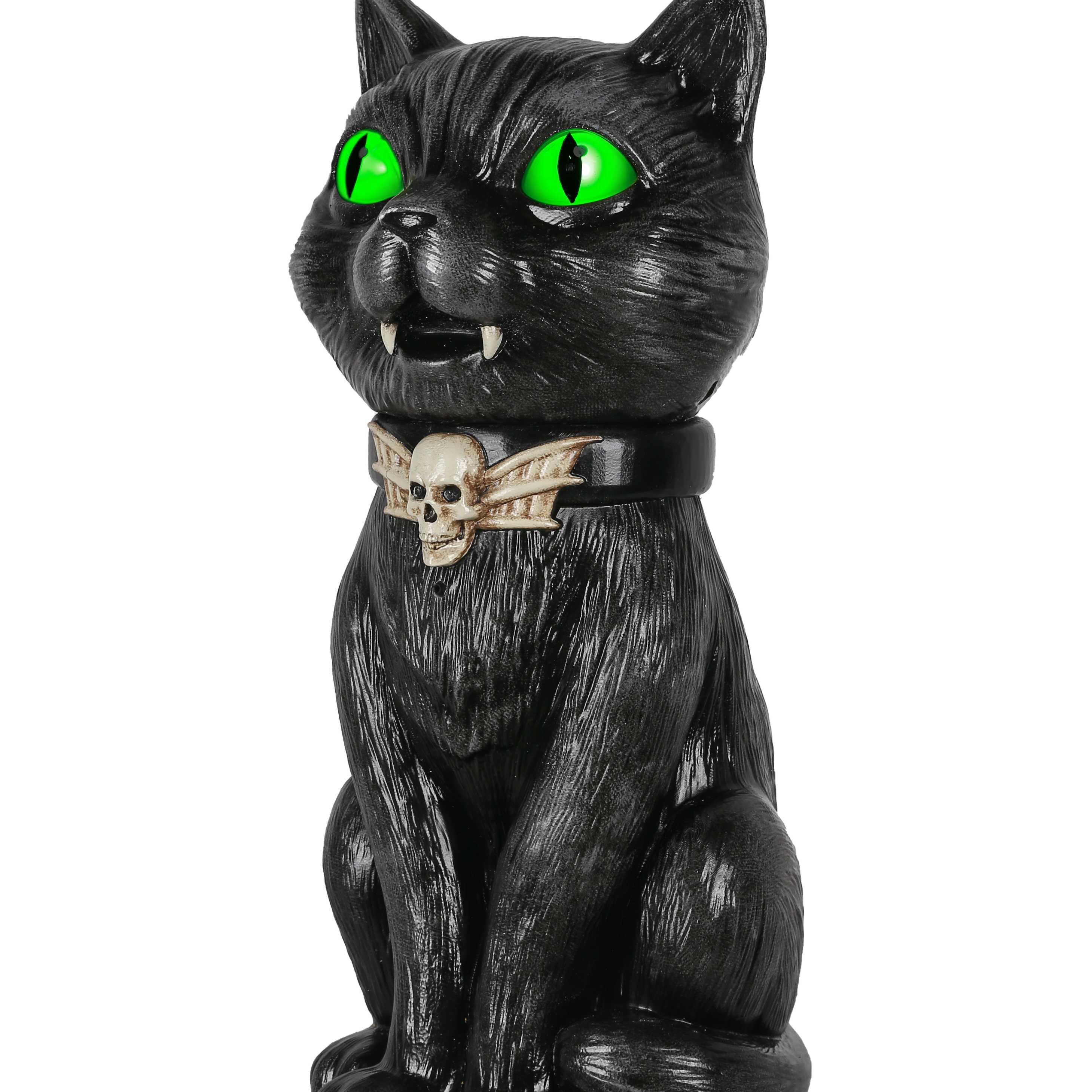Animated Black Cat